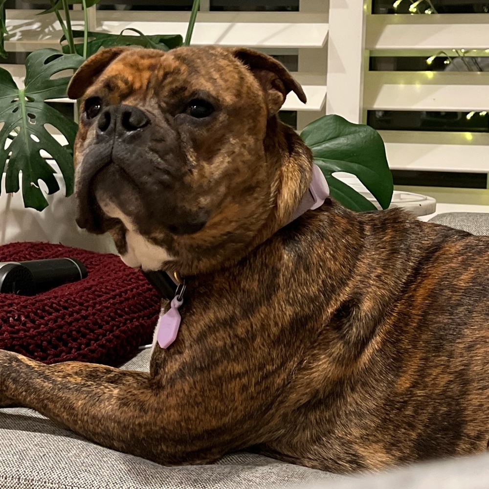 Meet your Posher, Tristan